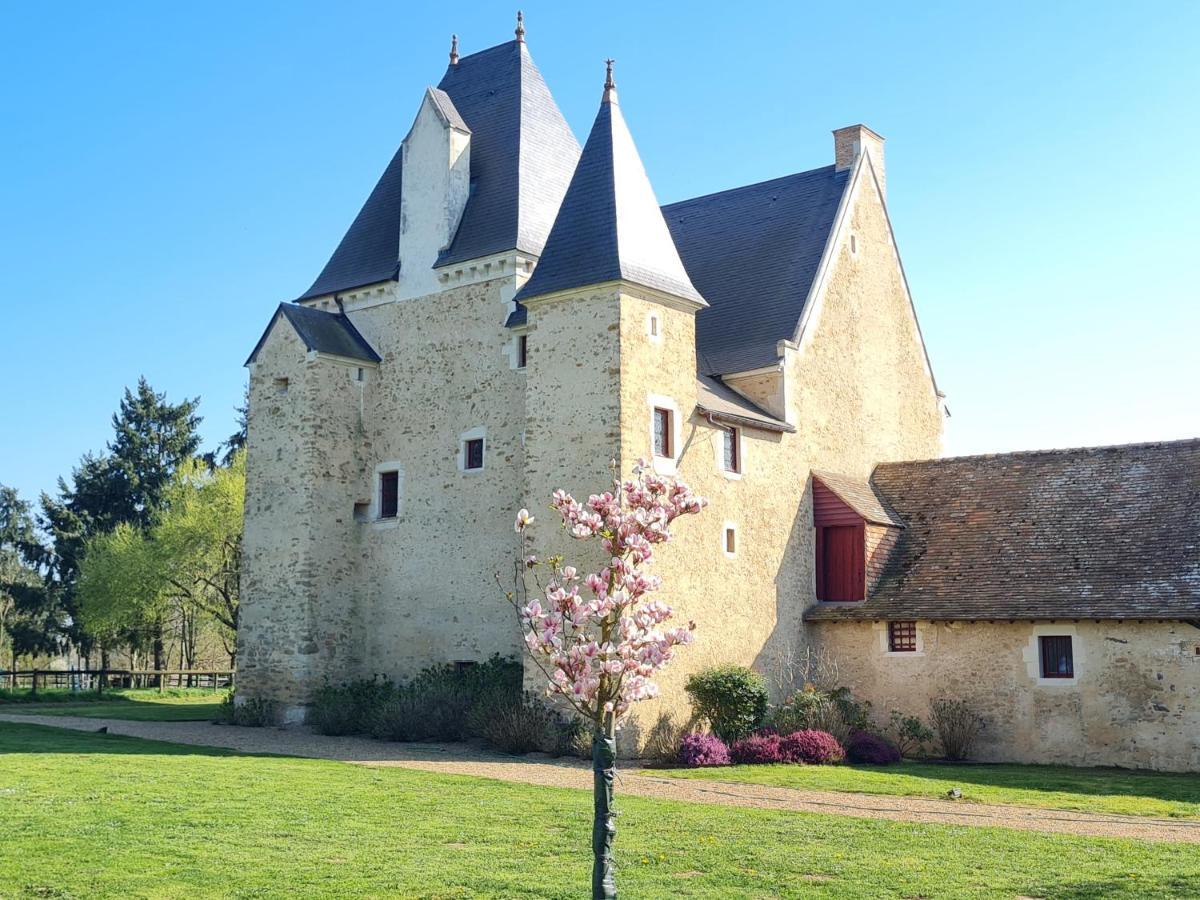 Manoir De La Beuneche - Location Du Manoir Entier Roeze-sur-Sarthe Bagian luar foto