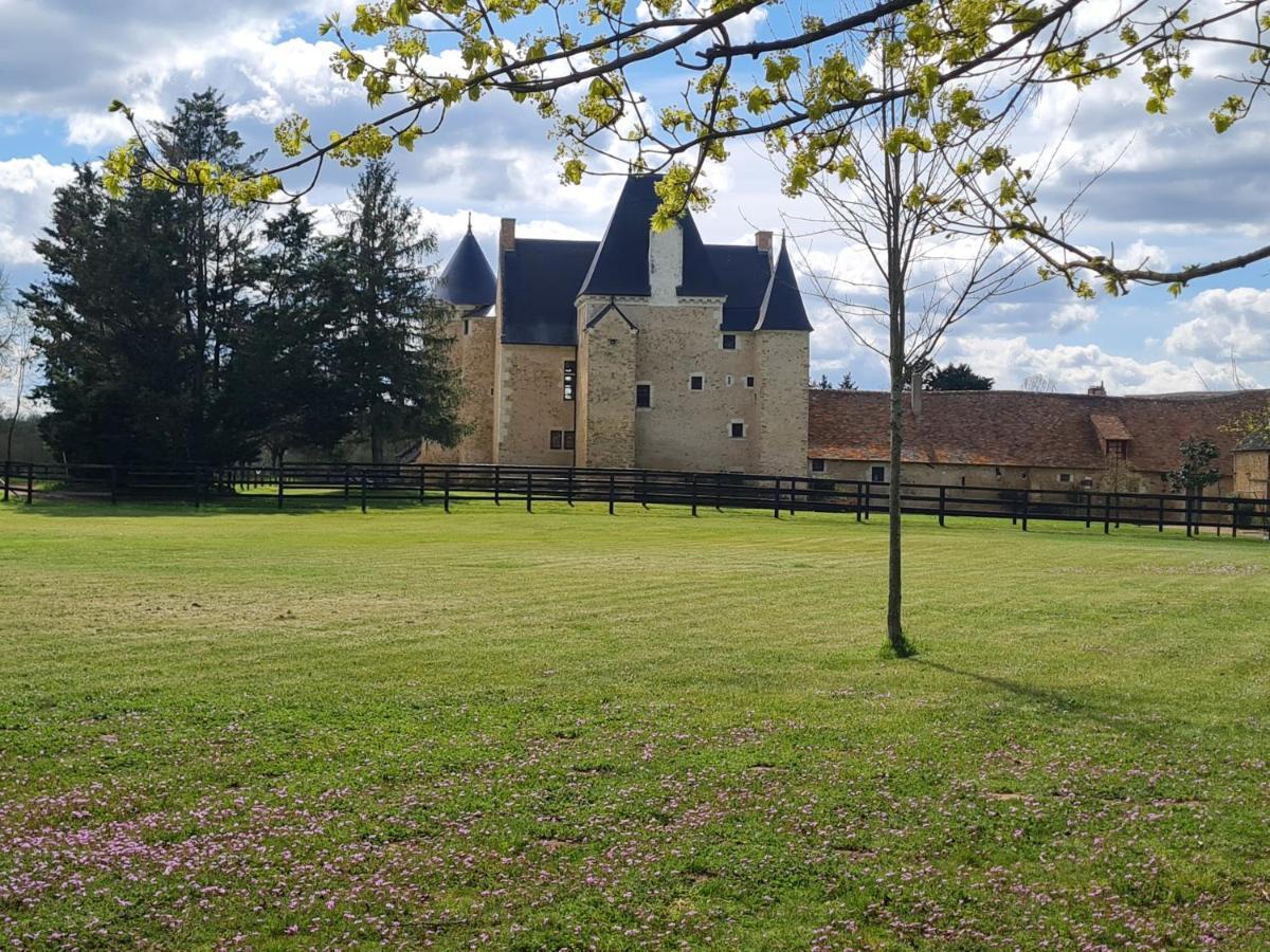 Manoir De La Beuneche - Location Du Manoir Entier Roeze-sur-Sarthe Bagian luar foto